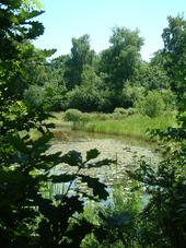 heemtuin_170x227_009.jpg