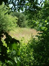 heemtuin_170x227_015.jpg