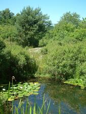heemtuin_170x227_019.jpg