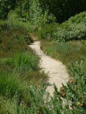 heemtuin_170x227_033.jpg