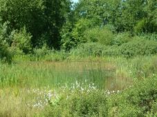 heemtuin_227x170_005.jpg