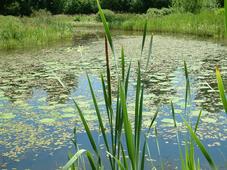 heemtuin_227x170_010.jpg
