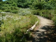 heemtuin_227x170_017.jpg