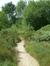 heemtuin_170x227_004.jpg