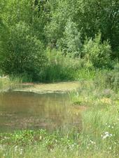 heemtuin_170x227_030.jpg