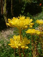 heemtuin_170x227_034.jpg
