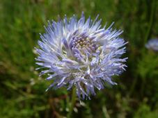 heemtuin_227x170_002.jpg