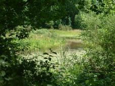 heemtuin_227x170_006.jpg