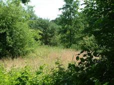 heemtuin_227x170_018.jpg