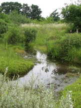 heemtuin_162x216_008.jpg
