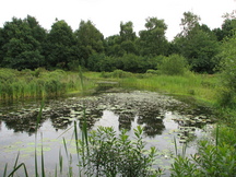 heemtuin_216x162_001.jpg
