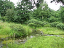 heemtuin_216x162_007.jpg