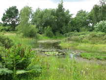 heemtuin_216x162_017.jpg