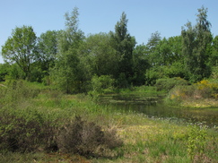 heemtuin_243x182_8759.jpg