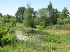 heemtuin_243x182_0310.jpg