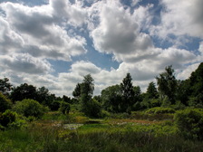 heemtuin_224x168_1940_1_2_3_4.jpg