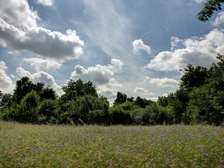 heemtuin_224x168_2010_1_2_3_4.jpg