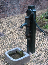 hoorn_162x216_004.jpg