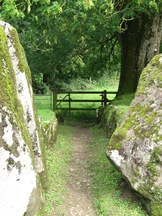 ierland_162x216_6510.jpg