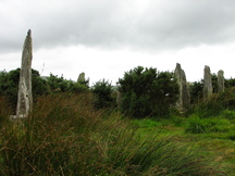 ierland_216x162_5845.jpg