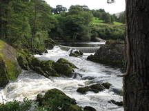 ierland_216x162_6352.jpg