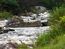 ierland_216x162_6429.jpg