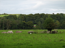 ierland_216x162_6526.jpg