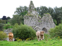 ierland_216x162_6541.jpg