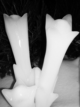 ijs_162x216_008.jpg