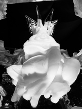 ijs_162x216_025.jpg