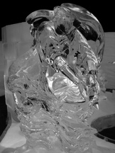 ijs_162x216_075.jpg