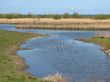ijsselmeer_216x162_002.jpg