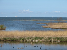 ijsselmeer_216x162_004.jpg