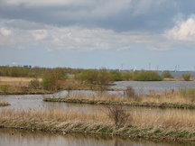ijsselmeer_216x162_028.jpg