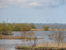 ijsselmeer_216x162_029.jpg