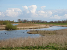 ijsselmeer_216x162_030.jpg
