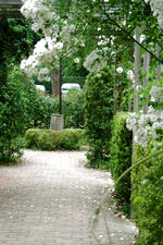 kalmthout_150x225_002.jpg