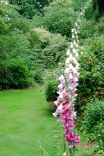 kalmthout_150x225_004.jpg