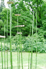 kalmthout_150x225_010.jpg