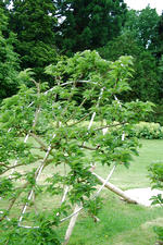 kalmthout_150x225_012.jpg