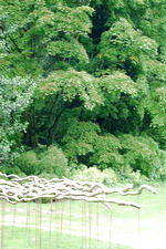 kalmthout_150x225_013.jpg