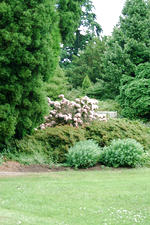 kalmthout_150x225_016.jpg