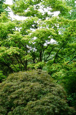 kalmthout_150x225_044.jpg