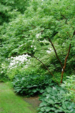 kalmthout_150x225_045.jpg