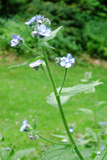 kalmthout_150x225_048.jpg