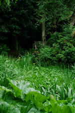 kalmthout_150x225_124.jpg