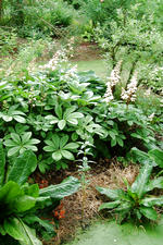 kalmthout_150x225_134.jpg