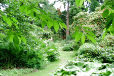 kalmthout_225x150_006.jpg