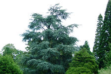 kalmthout_225x150_014.jpg