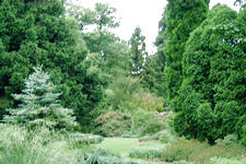kalmthout_225x150_015.jpg